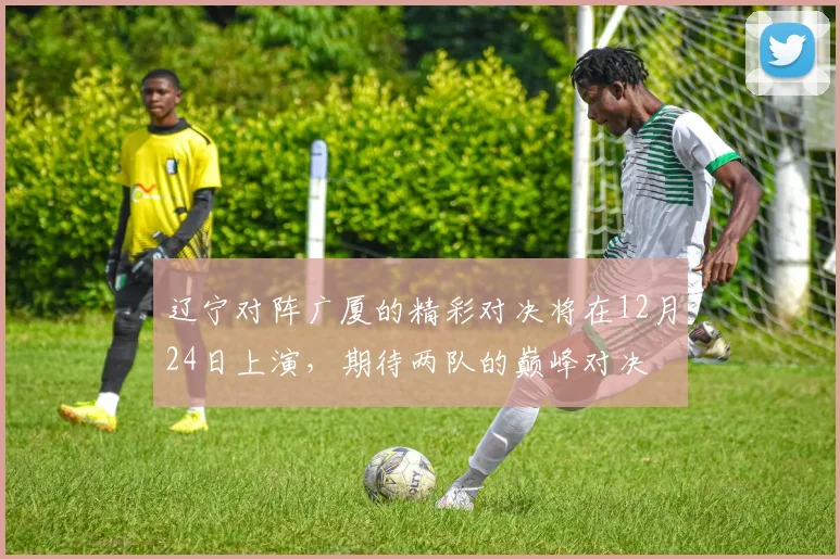 辽宁对阵广厦的精彩对决将在12月24日上演，期待两队的巅峰对决